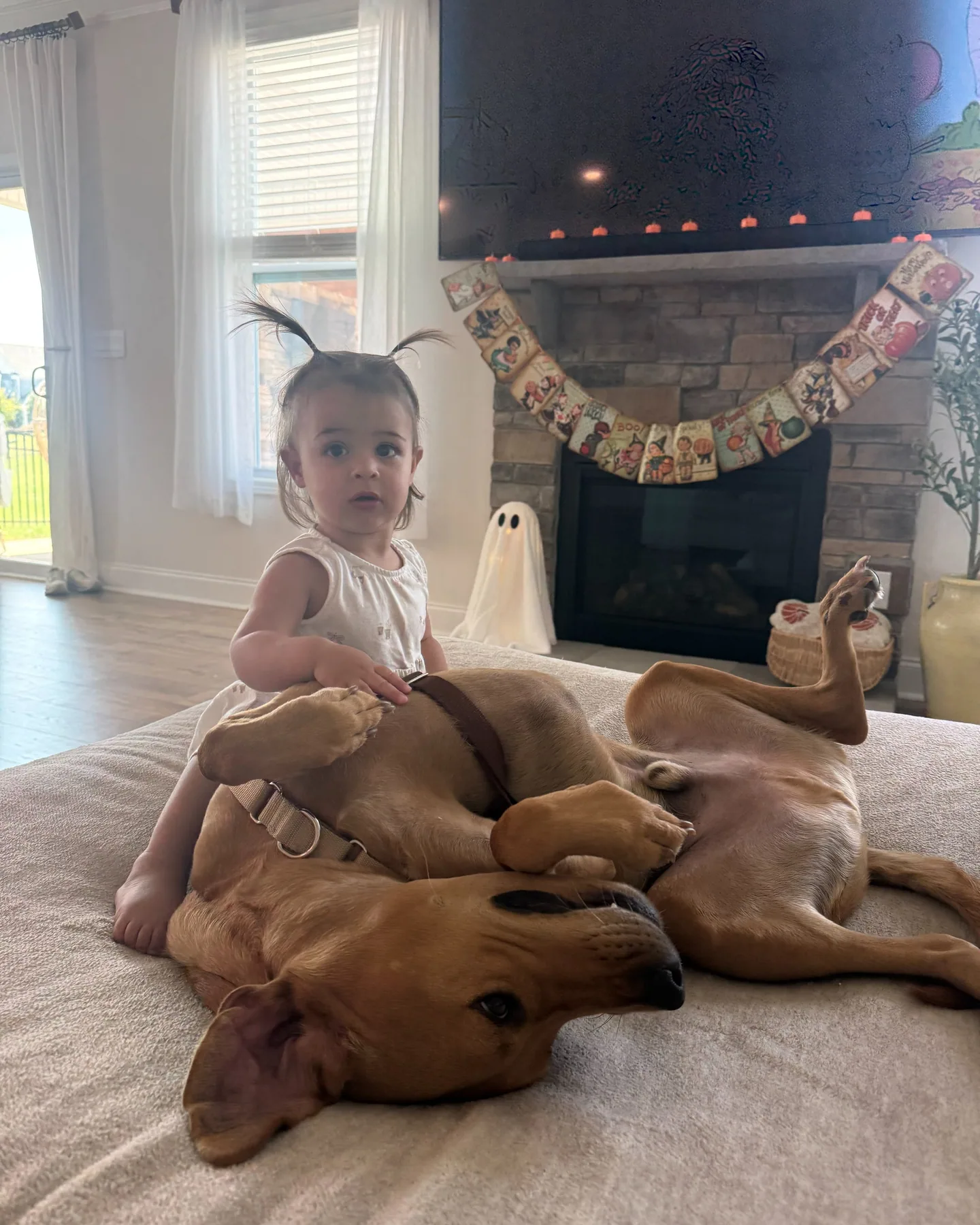 Lucia sitting on a couch beside two relaxed dogs